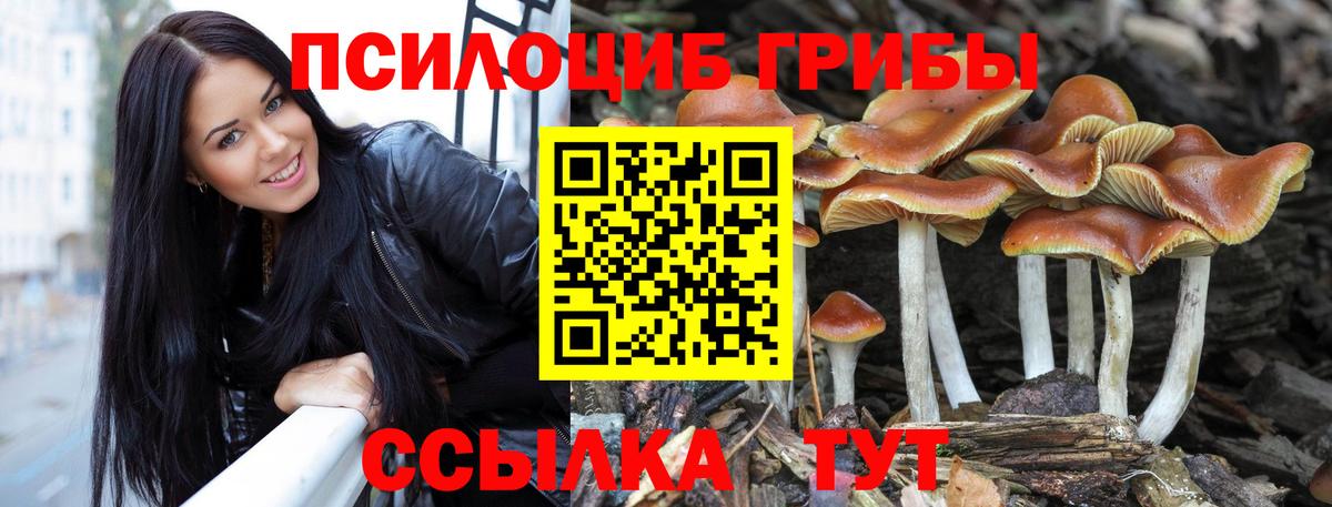 Галлюциногенные грибы Magic Shrooms Ливны