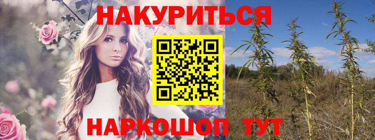 МАРИХУАНА планчик  Марихуана AK-47  МАРИХУАНА Bruce Banner  Вход с VPN  Канабис план  Ливны 